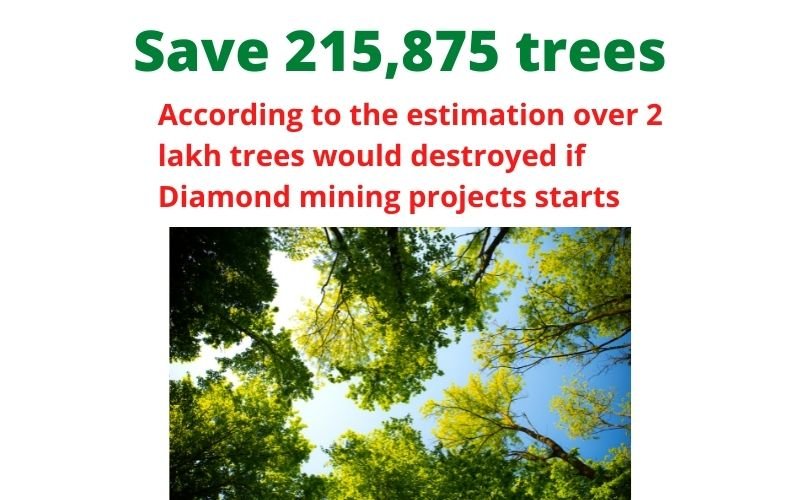 save-trees-in-the-forest-of-buxwaha