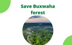 Read more about the article Buxwaha forest: protest against MP government to save 2 lakh trees