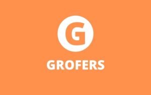 Read more about the article Grofers Startup Story: Online grocery delivery startup