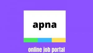 Read more about the article Apna Success Story Online Job Portal