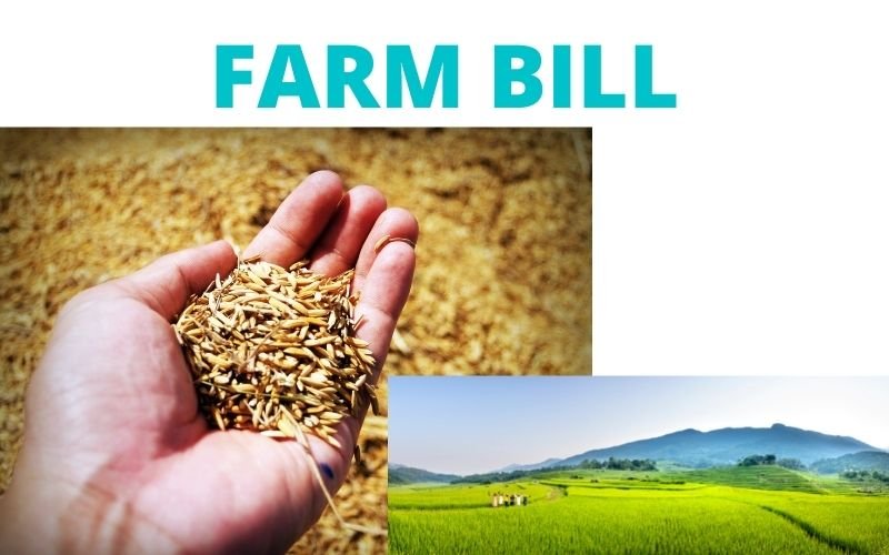 farm-bill-2021