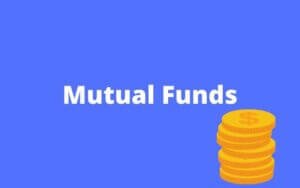 Read more about the article What is Mutual Fund Investment: Advantages and Disadvantages